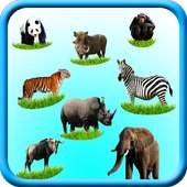 Wild Animals Sounds icon