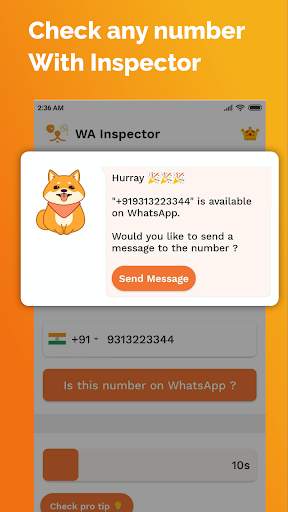 WA Inspector - Is this number on WhatsApp ? screenshot 2