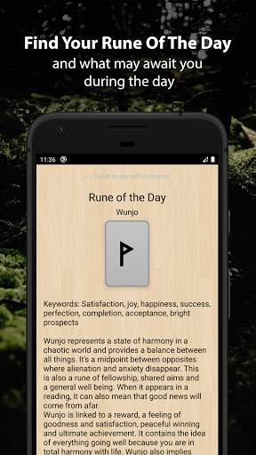 Runic Divination - Runes Tarot screenshot 4