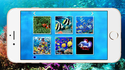 World of Fish Puzzle Jigsaw screenshot 2