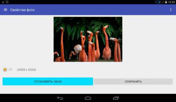 Картинки, обои на рабочий стол screenshot 6