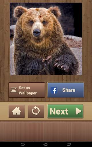 Animal Puzzle Games screenshot 10