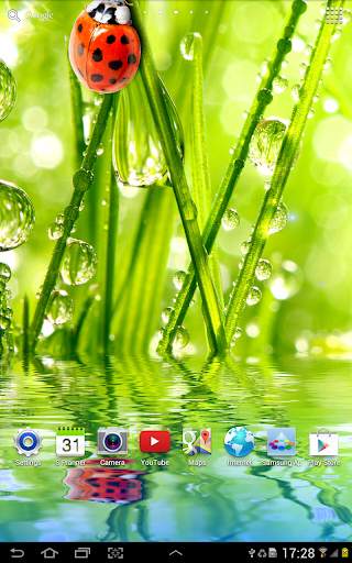 Macro Photos Live Wallpaper screenshot 5