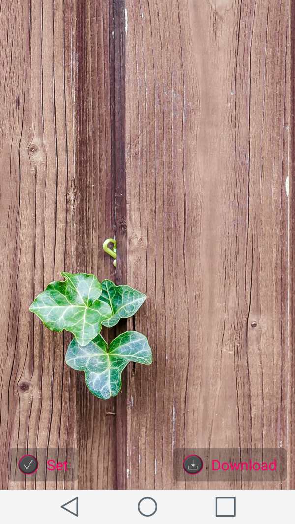 Wood Wallpaper screenshot 3