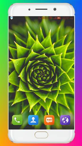 Macro Wallpaper HD screenshot 5
