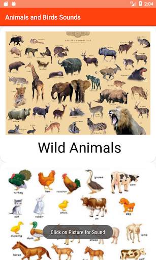 Animals & Birds Sound Effects screenshot 2