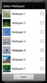 Birds Live Wallpapers screenshot 8