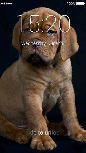 Cute Puppy Lock Screen screenshot 1