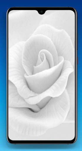 White Wallpaper 4K screenshot 7