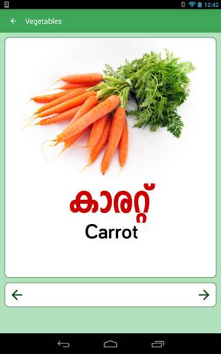 Malayalam Alphabets screenshot 11