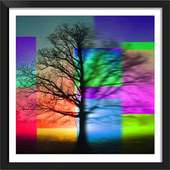 Nature HD Photo Frame: Background Changer App