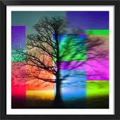 Nature HD Photo Frame: Background Changer App 1.2