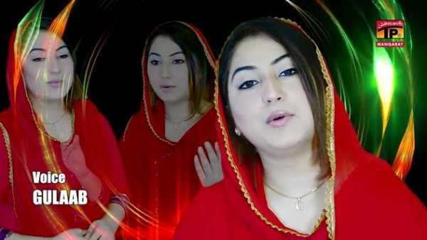 Gulaab Singer Latest Song screenshot 5