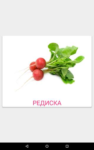 Карточки Домана screenshot 10