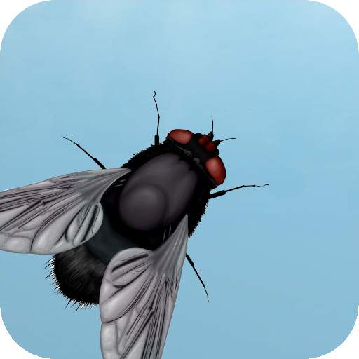 Fly on the screen - a game for the cat 0.0.1