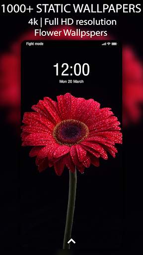 🌺 Flower Wallpaper - Auto Change Wallpaper screenshot 4