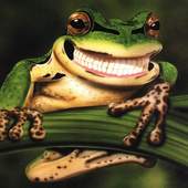 Funny Frogs Jigsaw Puzzles 1.0