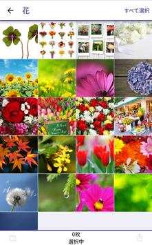 Epson Photo Library screenshot 5