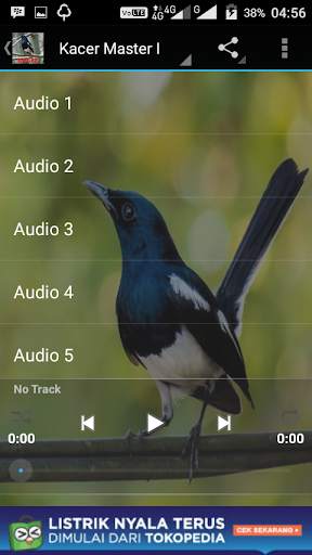 Kacer Master Offline screenshot 3