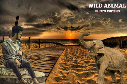 Wild Animal Photo Editor screenshot 1