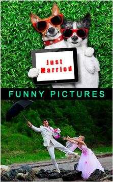 Funny Pictures screenshot 7