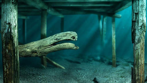 Kind of Fishy Aquarium screenshot 3