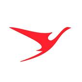 Surinam Airways 0.0.2