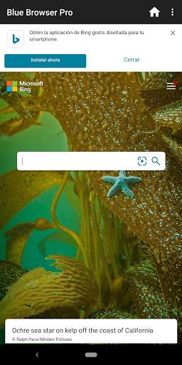 Blue Browser Pro screenshot 2
