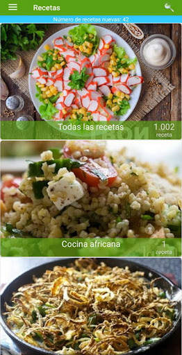 Recetas de ensaladas screenshot 1