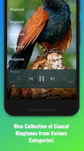 Coucal Sounds скриншот 2