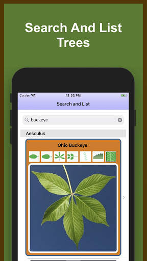 Forest Tree Identification скриншот 5