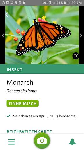 Seek von iNaturalist screenshot 2