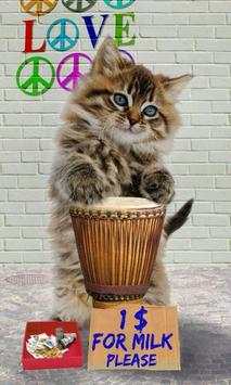 Funny cats Dancing and playing screenshot 2