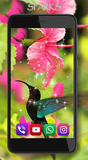 Colibri Free LWP screenshot 4