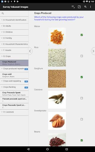 CSEntry CSPro Data Entry 22 تصوير الشاشة