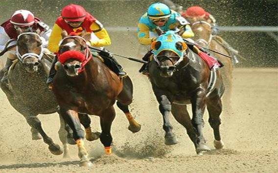 Extreme Horse Riding Racing Adventure screenshot 3