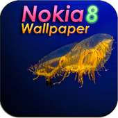HD Nokia 8 Wallpapers on 9Apps