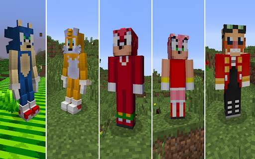 Sonic Mod For MCPE 3 تصوير الشاشة
