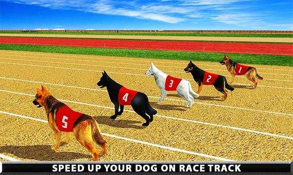 Wild Greyhound Dog Racing screenshot 3