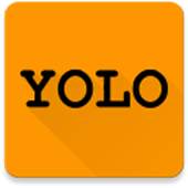 YOLO 0.0.1