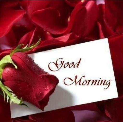 Good morning Flower Wallpapers Colorful Roses 4K screenshot 1
