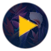 Music Player icon