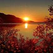 Sunrise Wallpapers 1.0