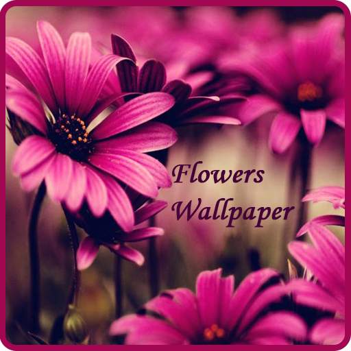 Flowers Wallpaper 1.3