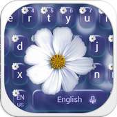 White Daisy Keyboard Theme on 9Apps