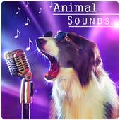 Animal Sounds 1.0.8