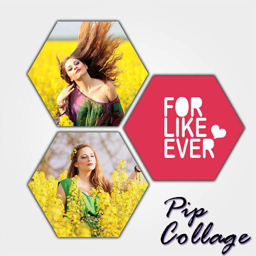 PIP Frame Collage Expert 2 تصوير الشاشة