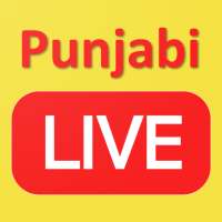 Punjabi News Live-TV logo