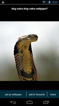 King Cobra Wallpapers screenshot 2