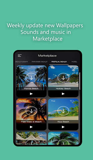 Beach Waves Sounds: Calm, Ambient, Sleep app screenshot 20